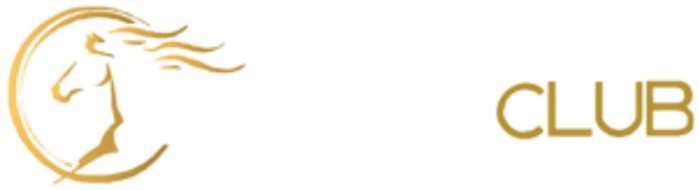 Vip Arab Club casino