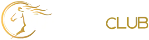 Vip Arab Club casino
