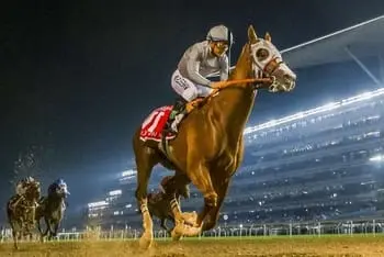 البطولات العالمية لسباق الخيل في مضمار ميدان