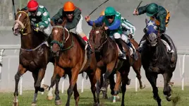 نصائح للفوز بمراهنات سباق الخيل اون لاين