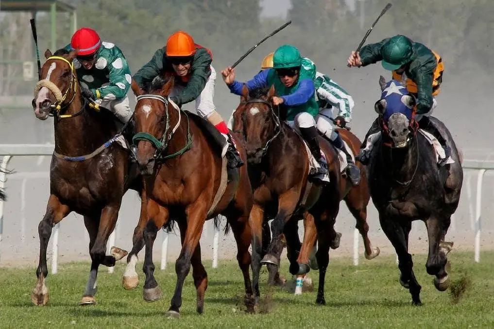 نصائح للفوز بمراهنات سباق الخيل اون لاين